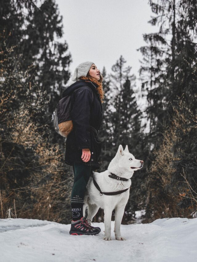 pexels-filip-klinovský-3693548